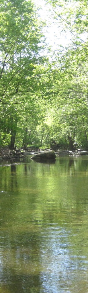 Little Patuxent River