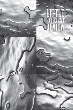 Science LPR-cover front only-1 (2)