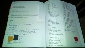 A peek inside LPR Poetry Editor Laura Shovan's journal.