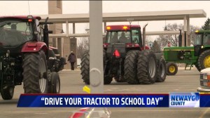 Photo credit: Rob Westaby.